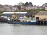Milford Haven base for trawlers